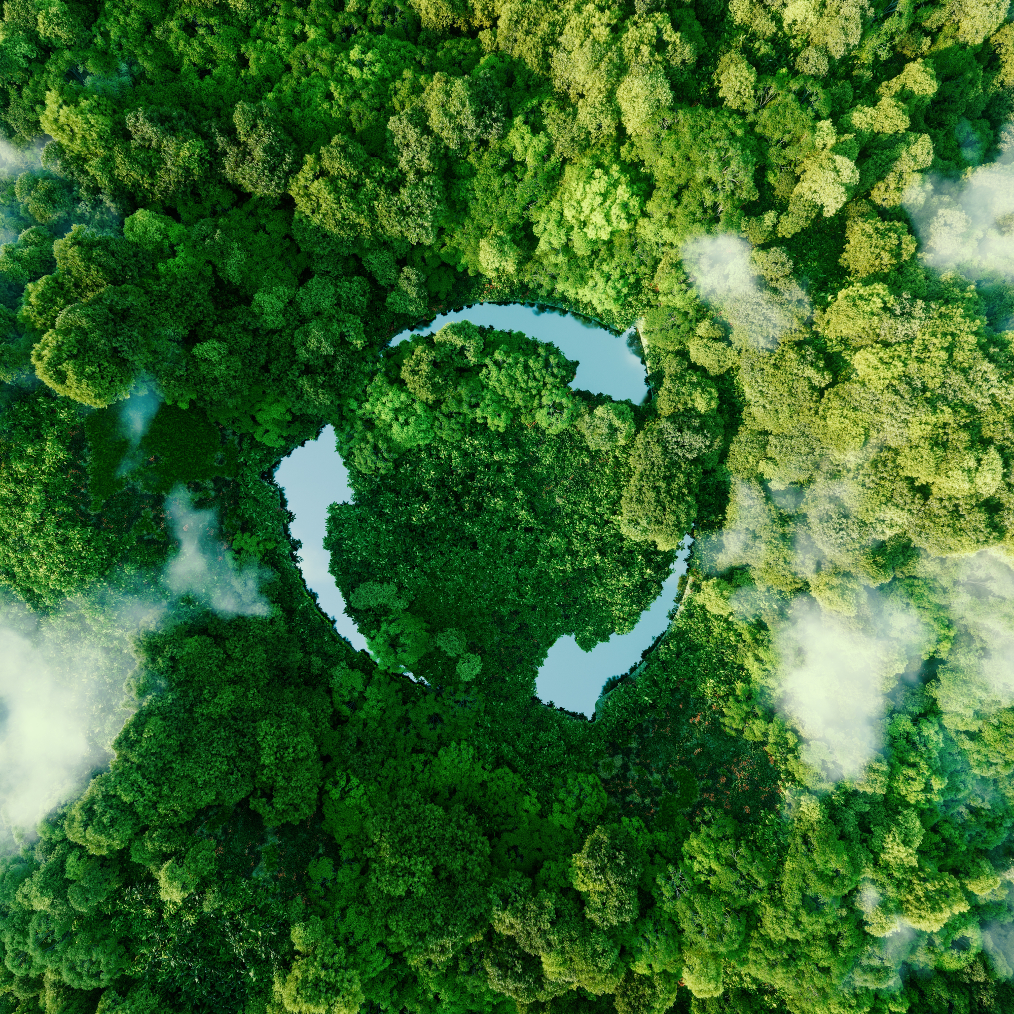 A symbol of recycling on the background of a forest.